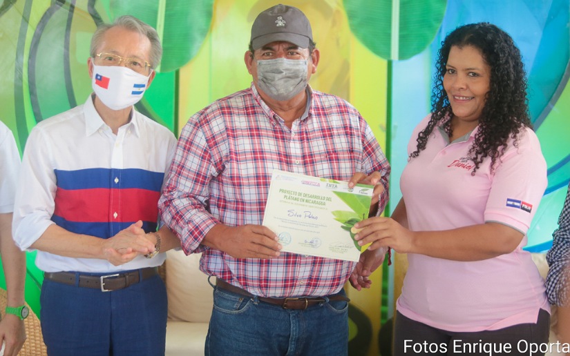 PLATANO